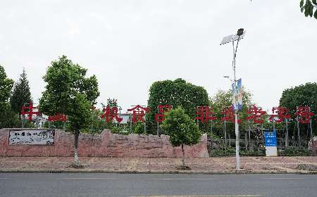 當(dāng)定制葛粉時(shí)，我們真正在選擇什么？